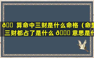 🐠 算命中三财是什么命格（命里三财都占了是什么 🐘 意思是什么）